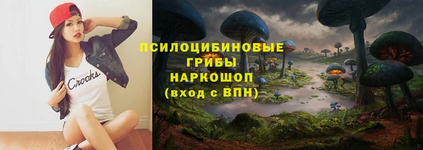 гашиш Богородицк