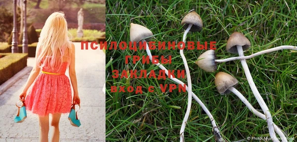 MDMA Premium VHQ Бугульма