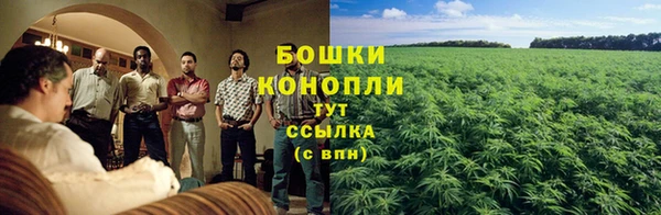 мяу мяу мука Богданович