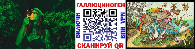 Купить Лукоянов Галлюциногенные грибы мицелий